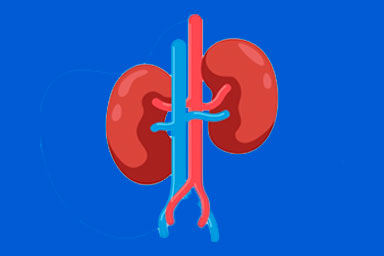 insuficiencia renal